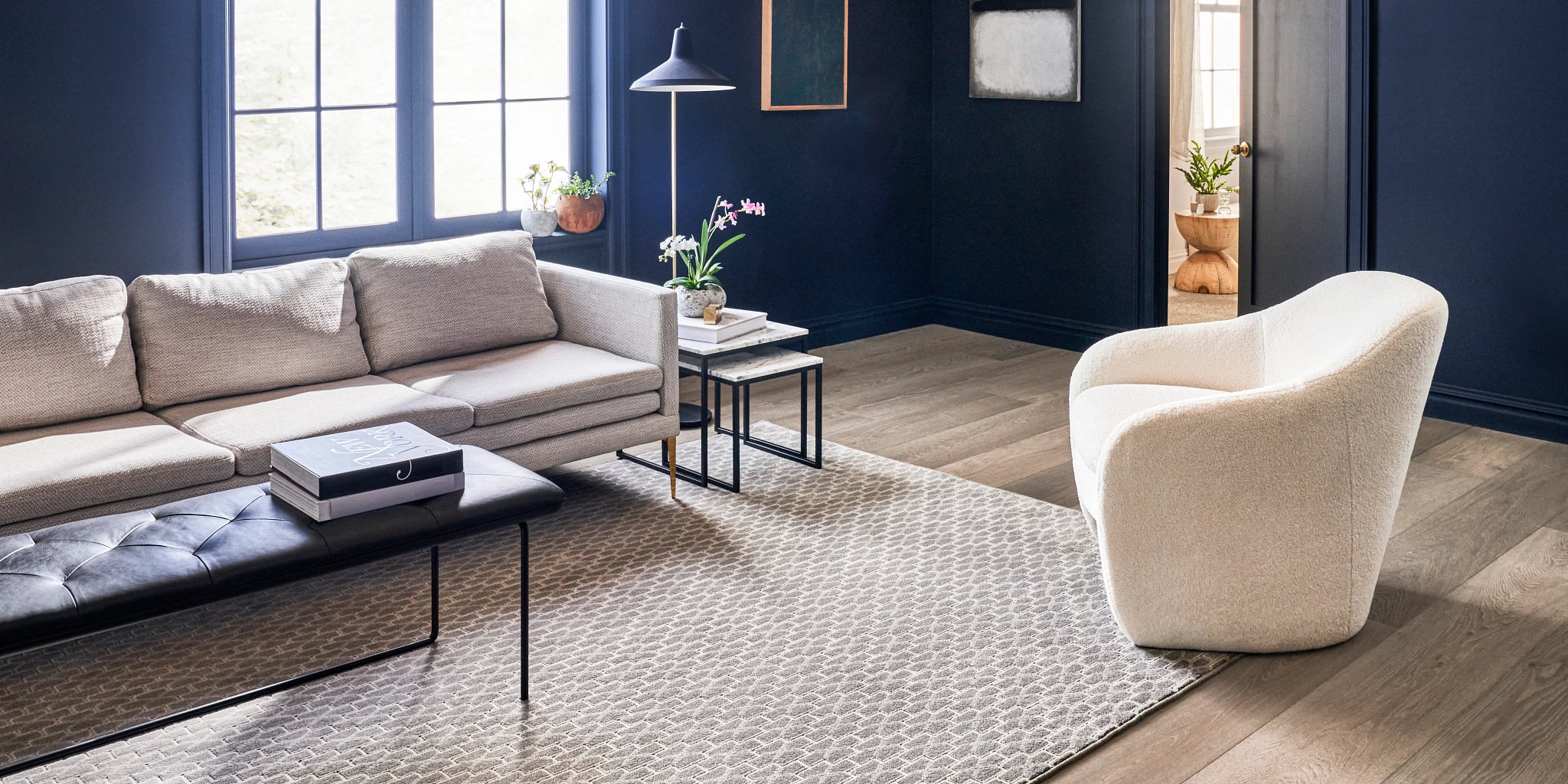 light grey rug in living room with dark blue walls